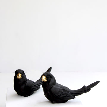 Shukhas Black (Set of 2)