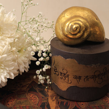 MANTRA SHELL DECOR ACCENT (SET OF 2)